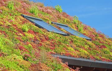Eastby living roof systems