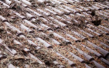 Eastby roof cleaning companies