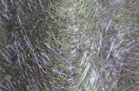 Eastby fibreglass roof work